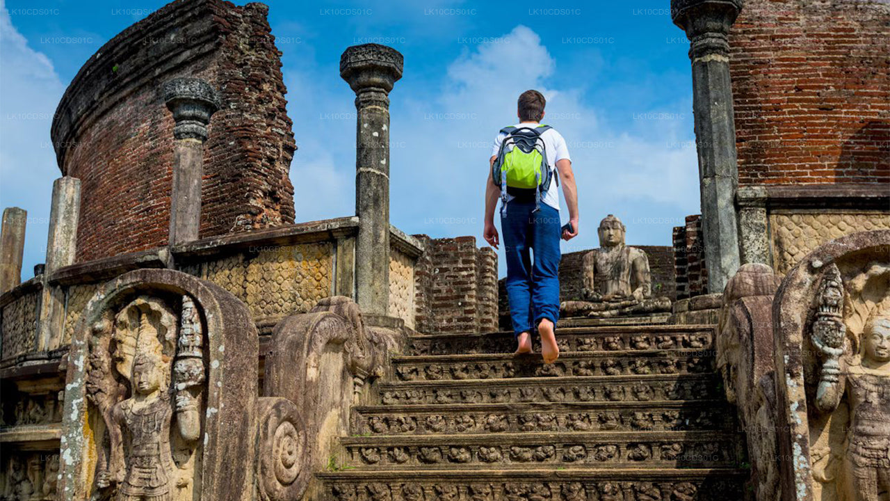 Points forts du Sri Lanka en train (12)