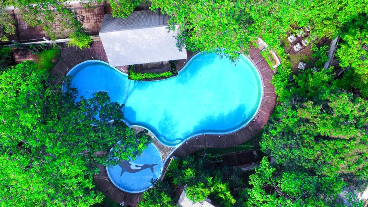 The Grand Udawalawe Safari Resort, Udawalawe