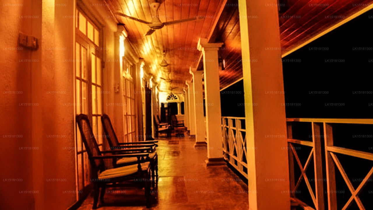 Bordure de forêt, Kitulgala