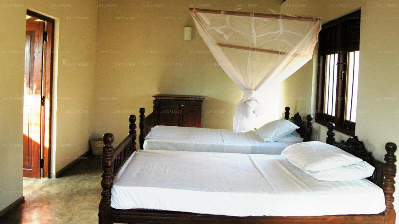 Wild Escape, Buttala