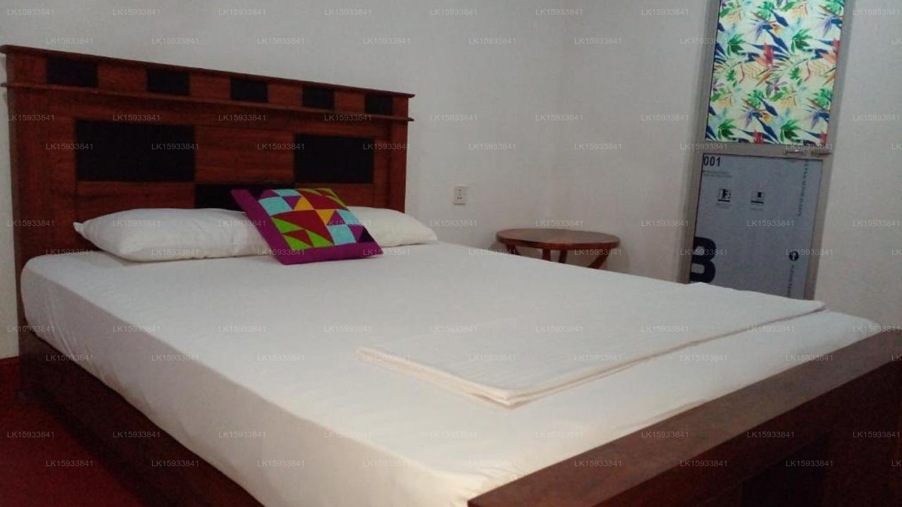 Tree House Hostel Sigiriya