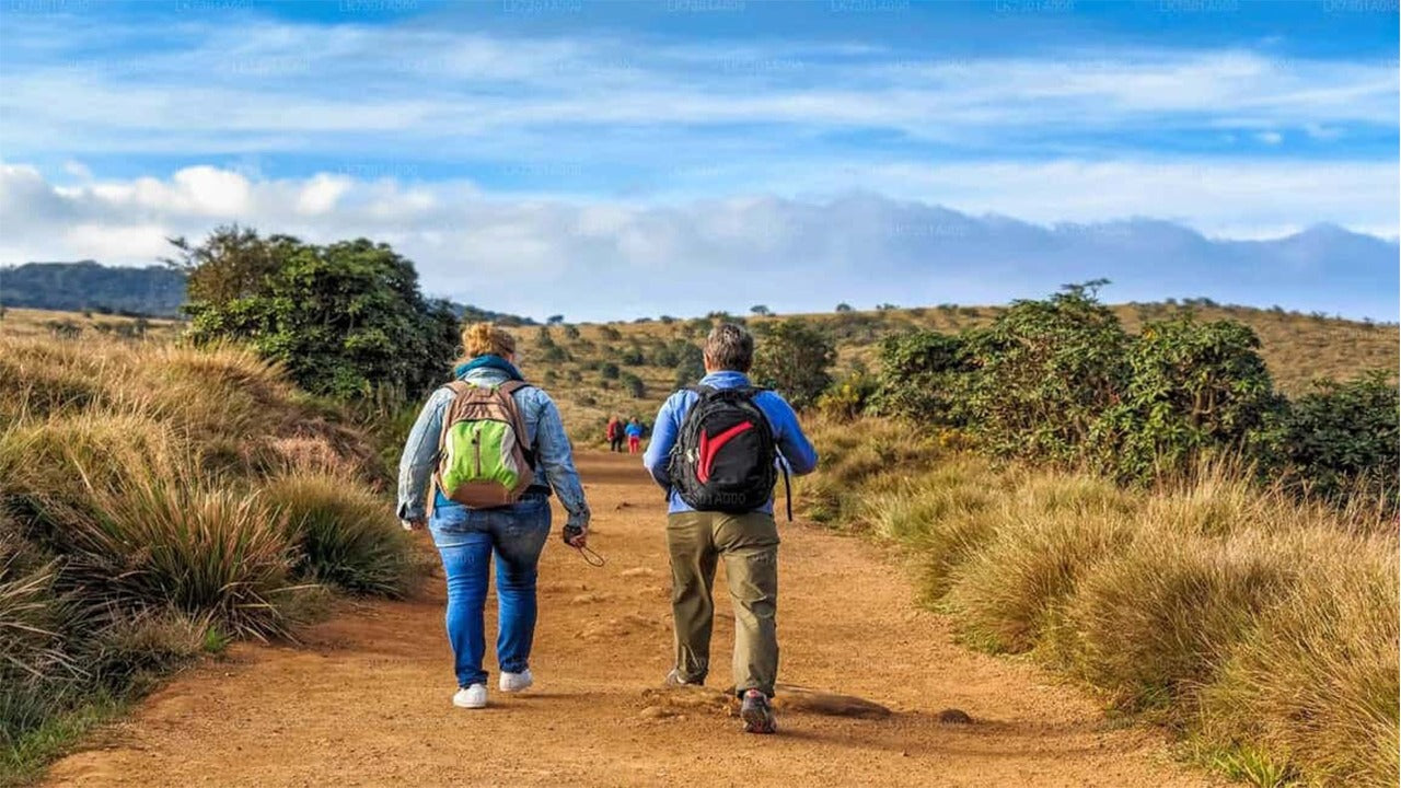Visite guidée du parc national d'Horton Plains avec billets d'entrée
