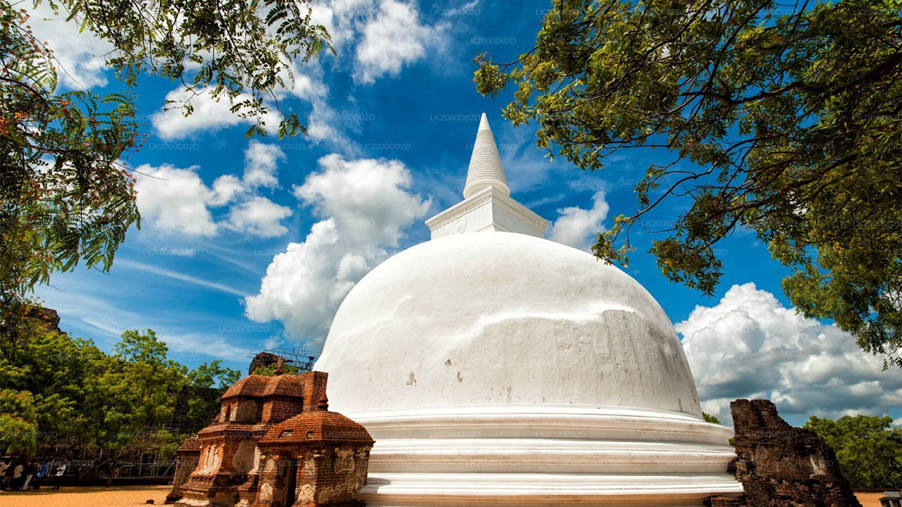 Visite guidée de la vieille ville de Polonnaruwa avec billets d'entrée