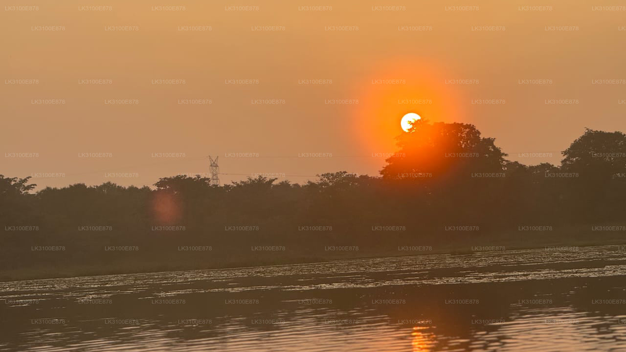 Sunset over a body of water with trees in the background