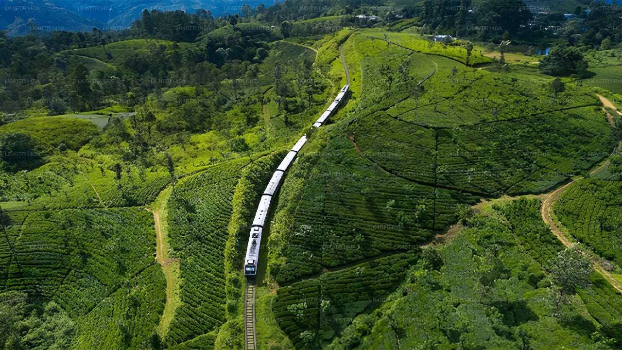 De Kandy à Ella : un voyage pittoresque en train et en voiture ou en minibus
