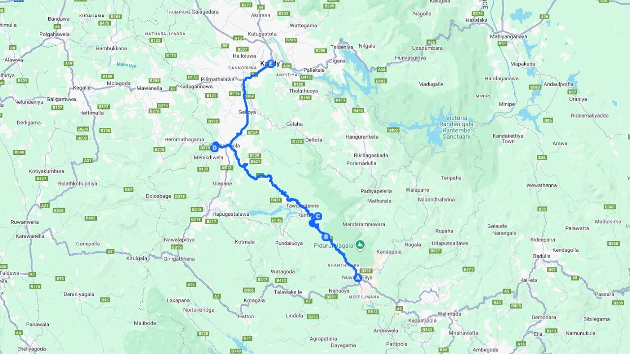 Transfert privé panoramique de Nuwara Eliya à Kandy avec visites touristiques