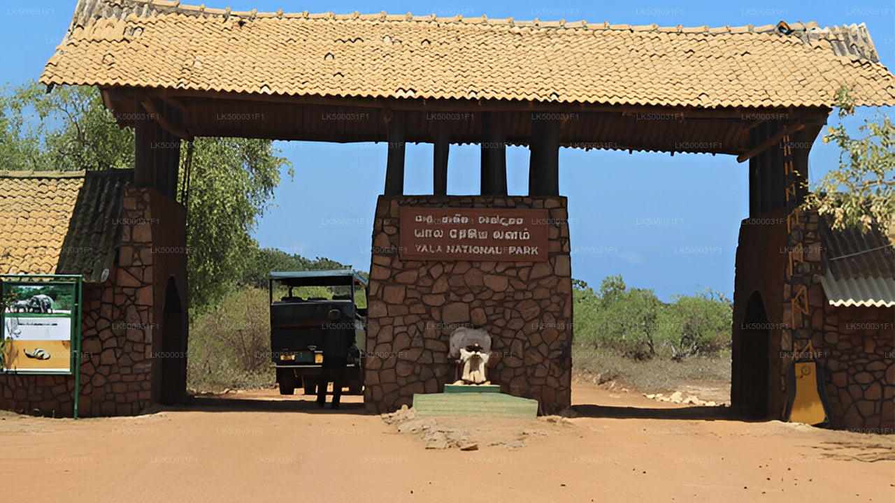 Private Tour from Ella to Unawatuna with Yala Safari