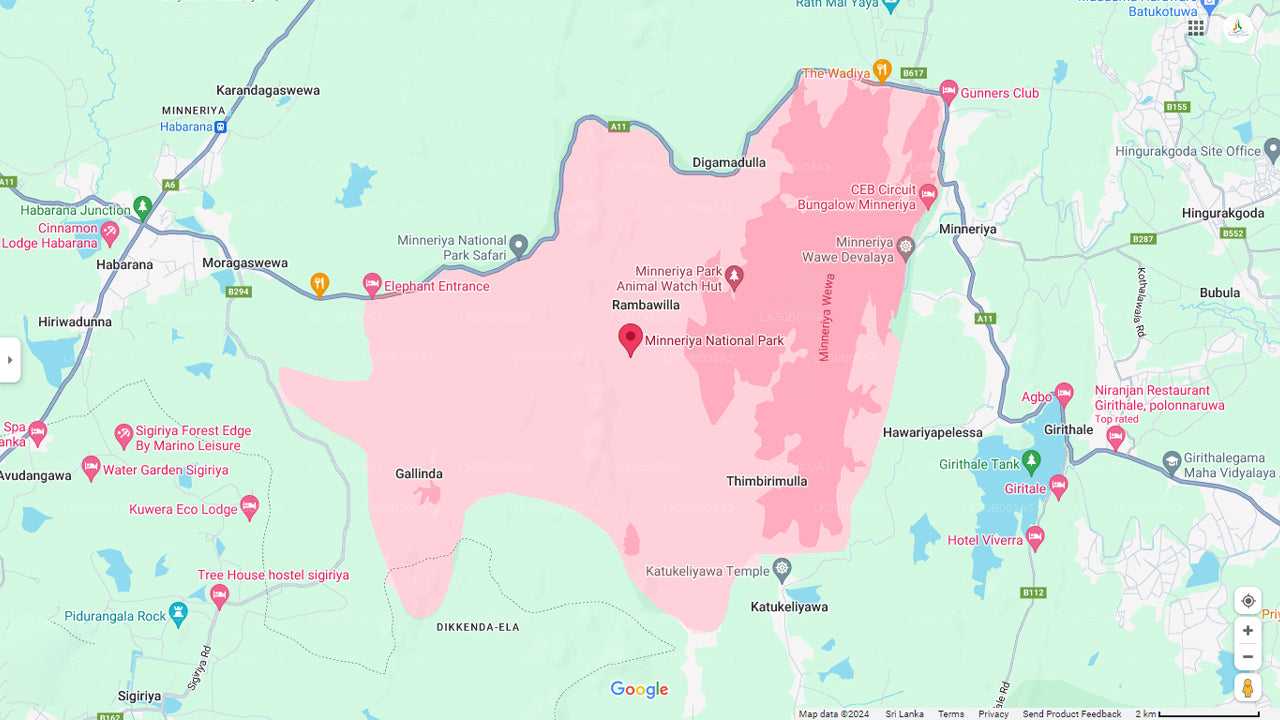 Safari privé au parc national de Minneriya