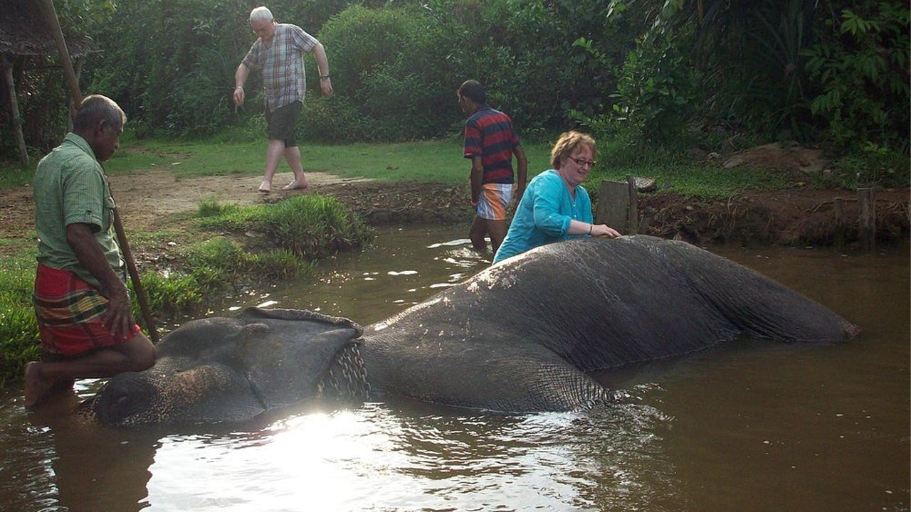 Promenade à dos d'éléphant au départ de Boossa