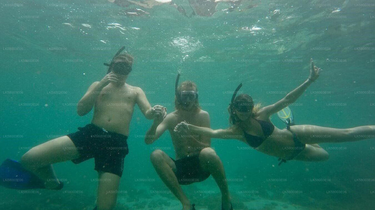 Plongée en apnée depuis Ahangama