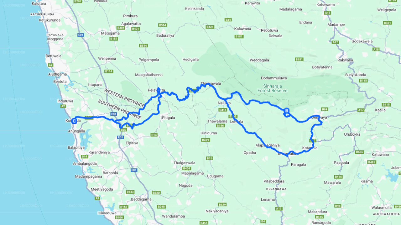 Visite guidée de la forêt tropicale de Sinharaja au départ de Kosgoda