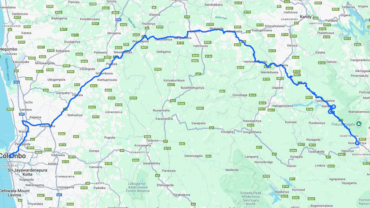 Private Transfer to Nuwara Eliya from Colombo with Scenic Stops