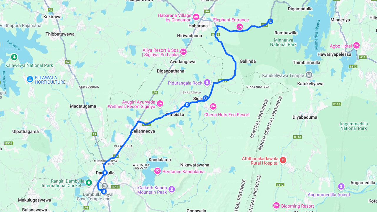 Safari sur les rochers de Sigiriya et les éléphants sauvages au départ de Dambulla