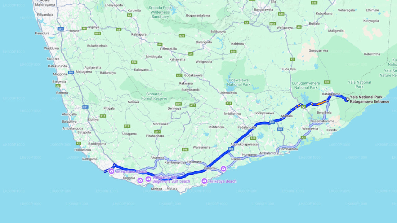 Safari dans le parc national de Yala au départ de Galle