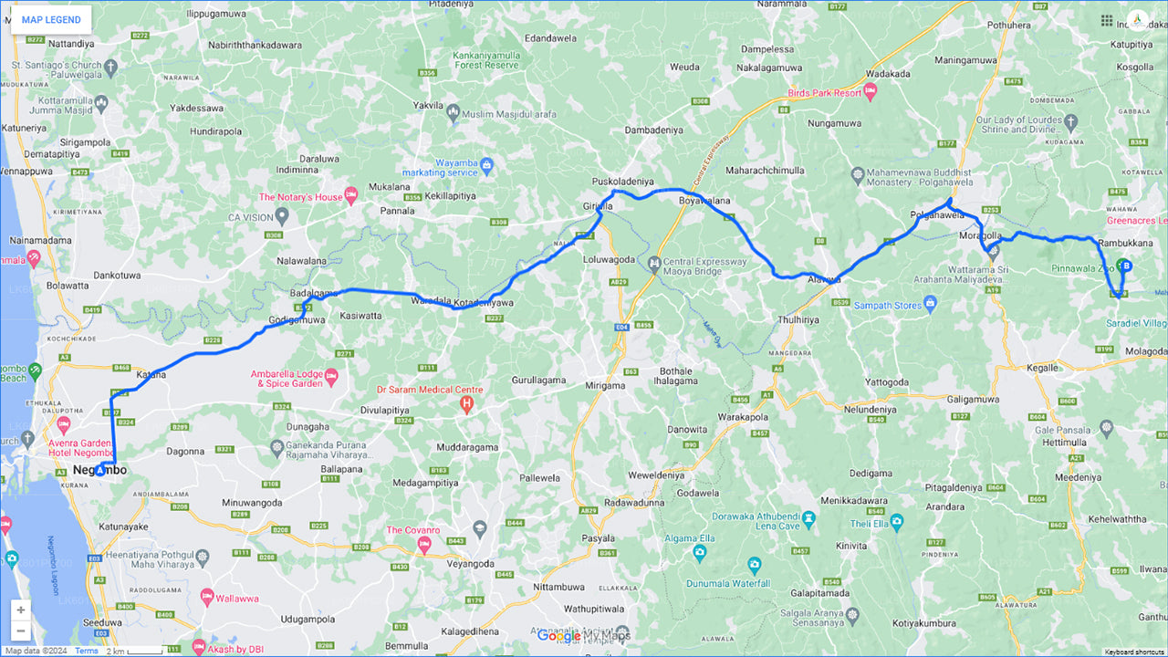 Orphelinat d'éléphants de Pinnawala à Negombo