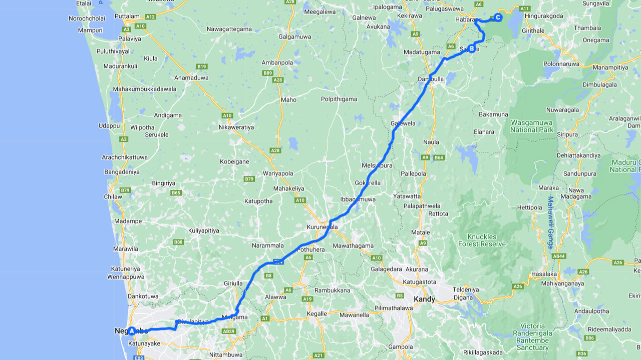 Safari sur le rocher de Sigiriya et les éléphants sauvages au départ de Negombo