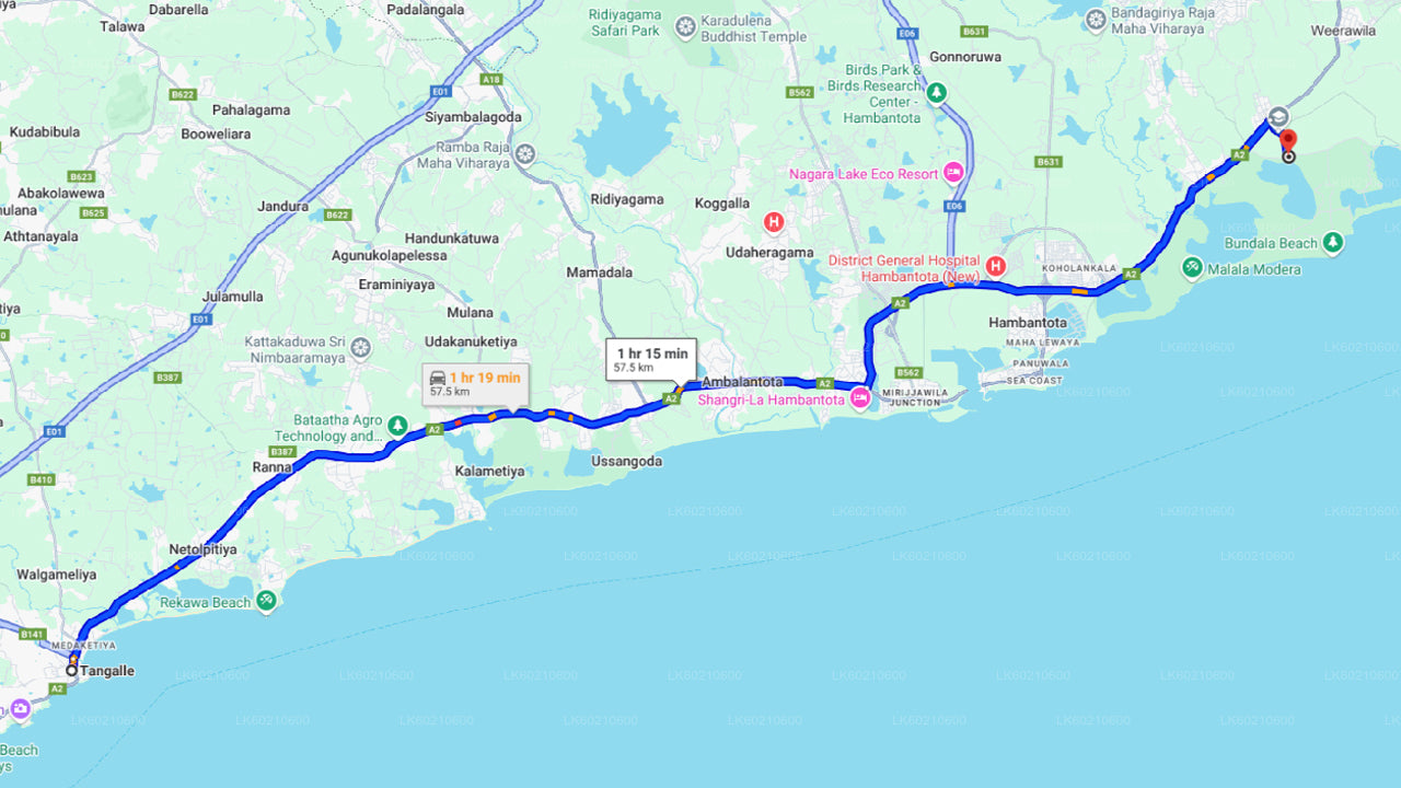 Safari dans le parc national d'Udawalawe depuis Ahangama