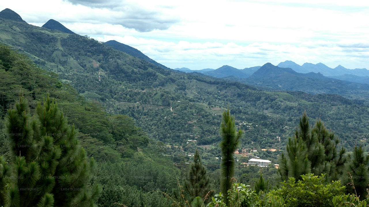 Randonnée jusqu'au Rocher du Lion depuis la forêt tropicale de Sinharaja