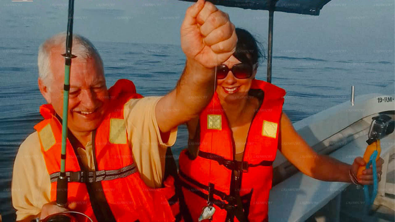 Plongée sous-marine à Mount Lavinia