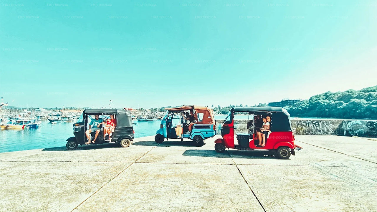 Safari en tuk-tuk sur la côte sud au départ de Galle