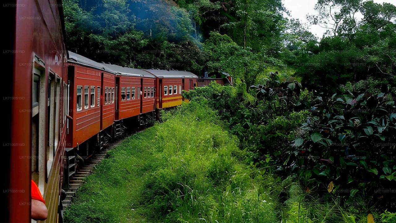 Trajet en train d'Ambewela à Ella (Train n° 1005/1015)