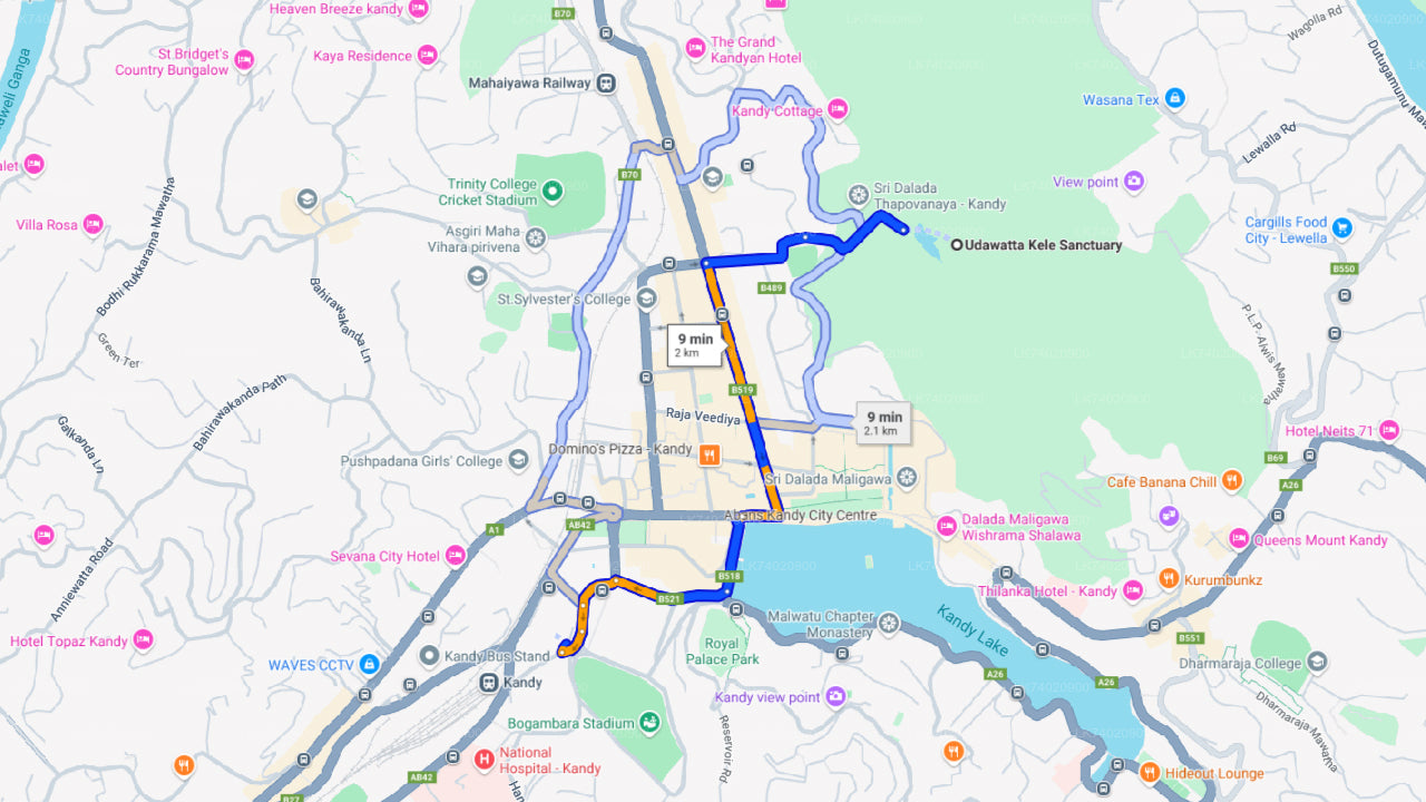 Randonnée dans la réserve forestière d'Udawattakele au départ de Kandy