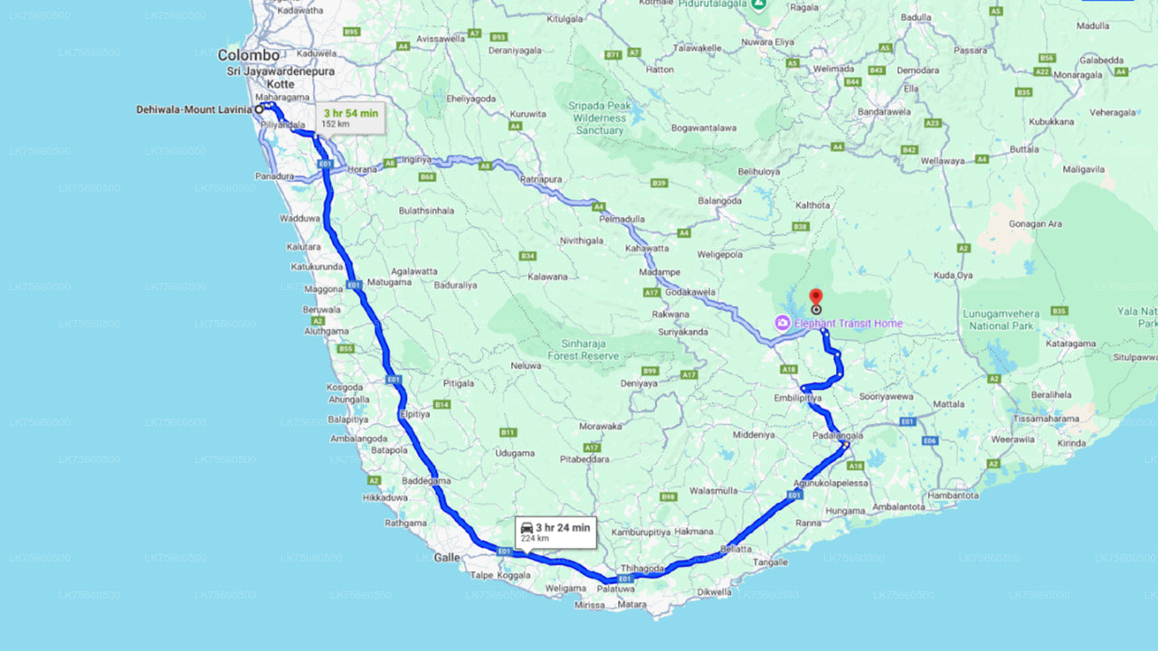 Safari ornithologique au parc national d'Udawalawe depuis le mont Lavinia