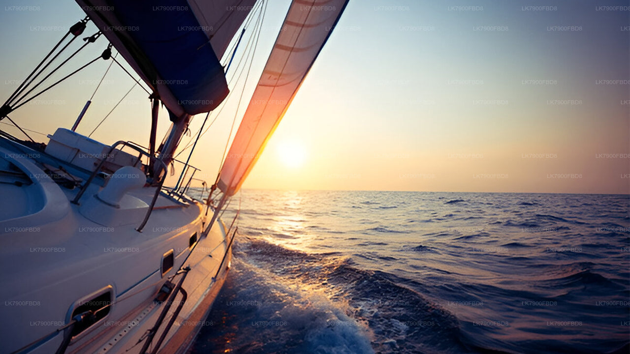 Croisière de 6 nuits à Mirissa