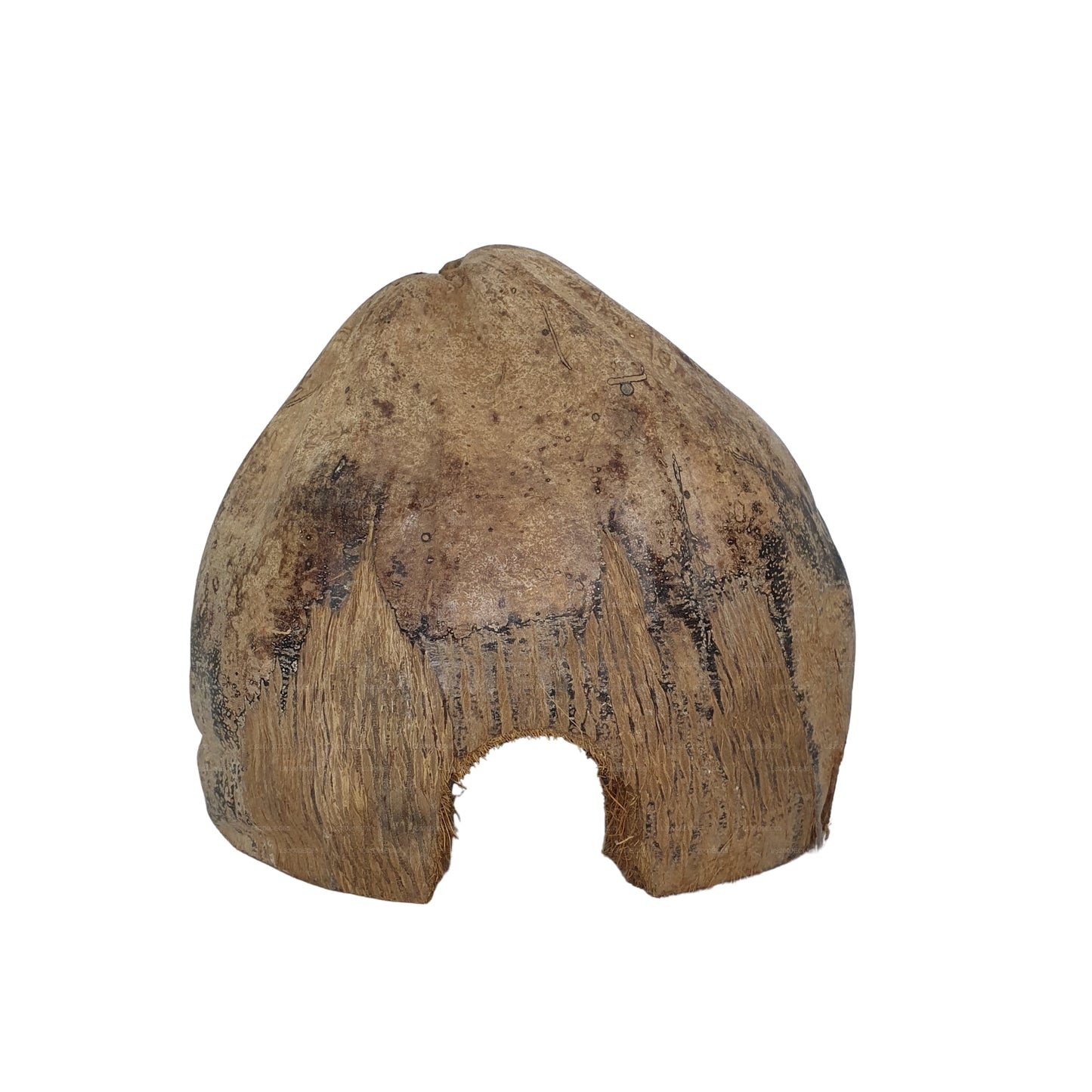 Cachette Bivenro Natural 3/4 en cacao avec motif de cosses (taille libre)