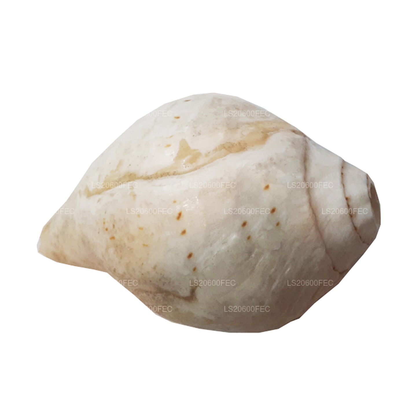 Lakpura Hakgediya sri lankaise