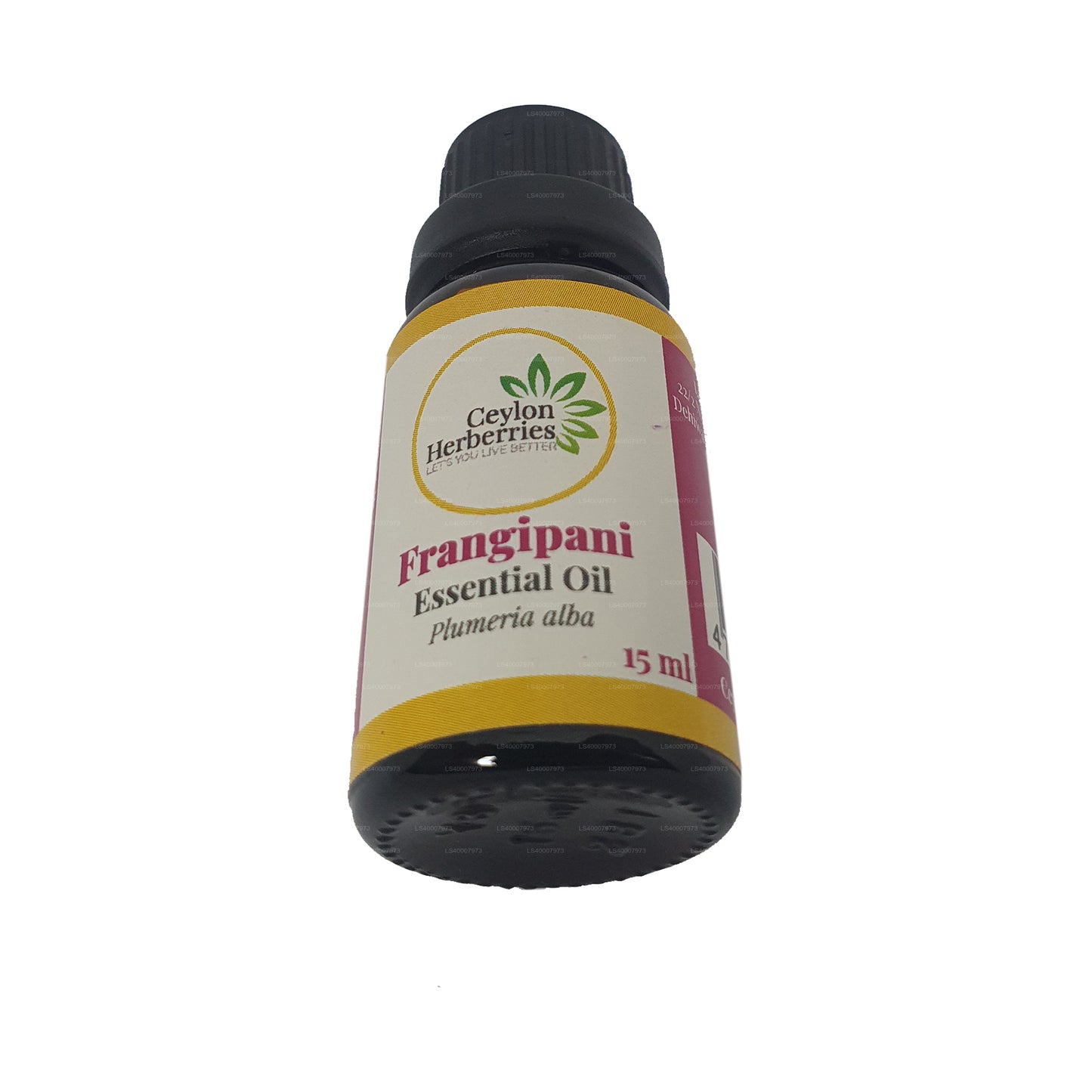 Huile essentielle de frangipanier aux herbes de Ceylan (Plumeria alba) 15 ml