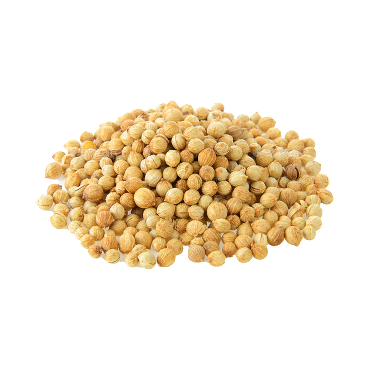 Huile essentielle de coriandre Lakpura (20 ml)