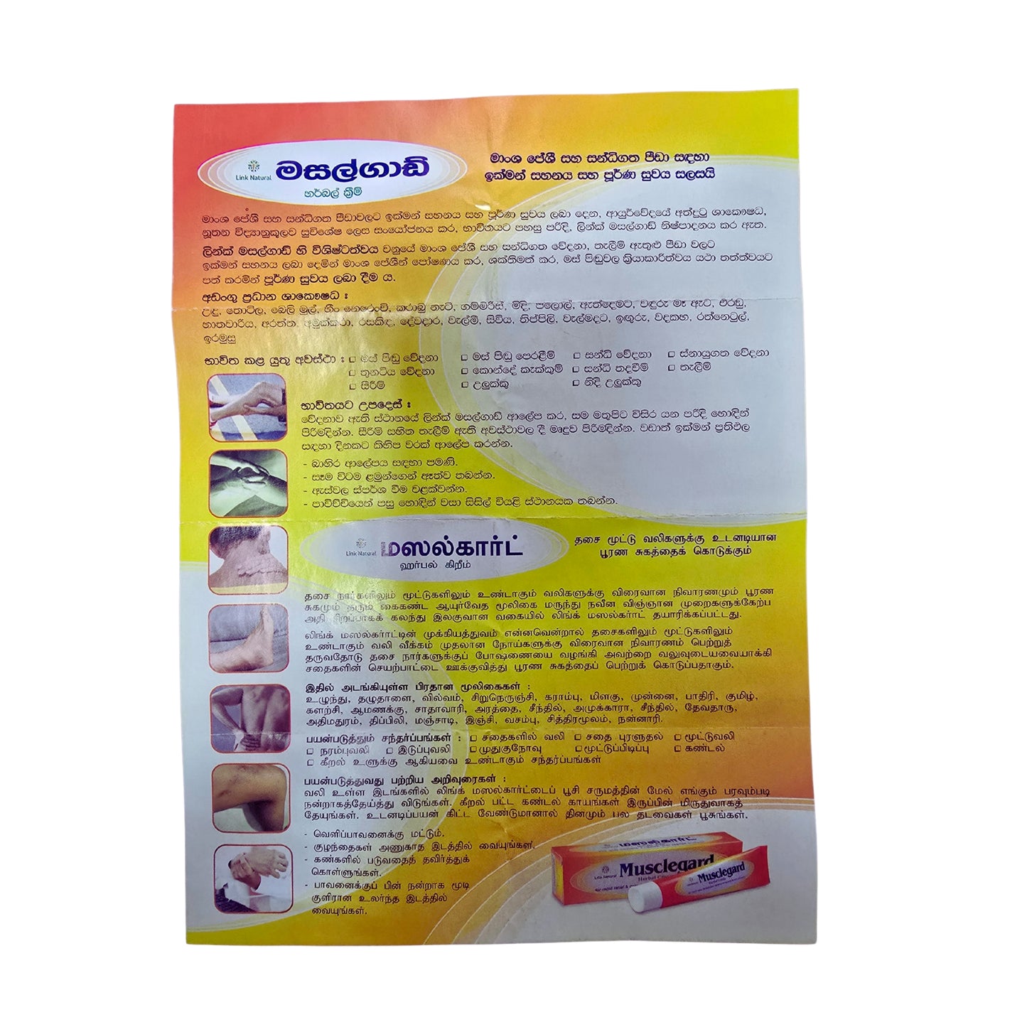 Crème à base de plantes Link Musclegard (25 g)