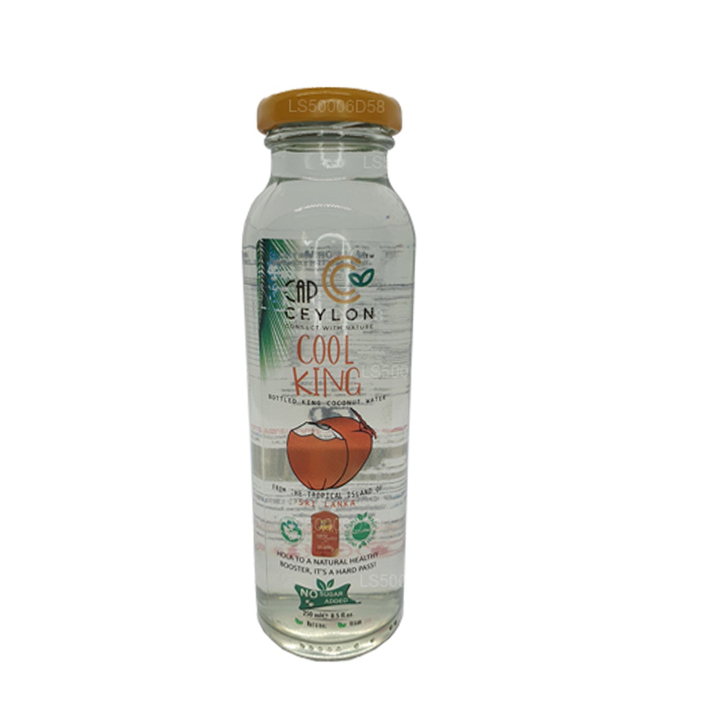 Lampe Cool King (250 ml)