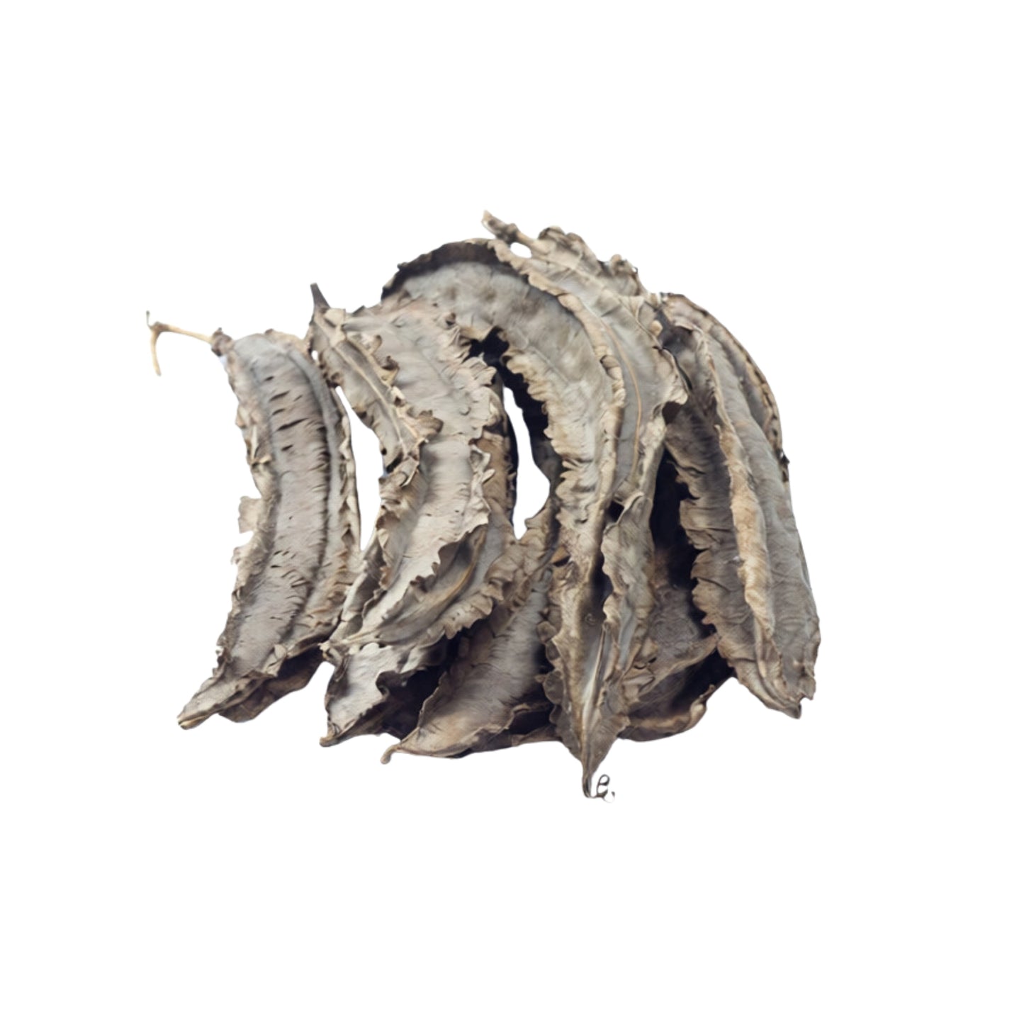 Haricots ailés Lakpura