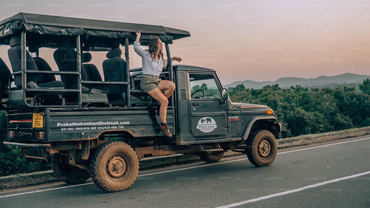 Safari privé dans le parc national d'Udawalawe avec un naturaliste