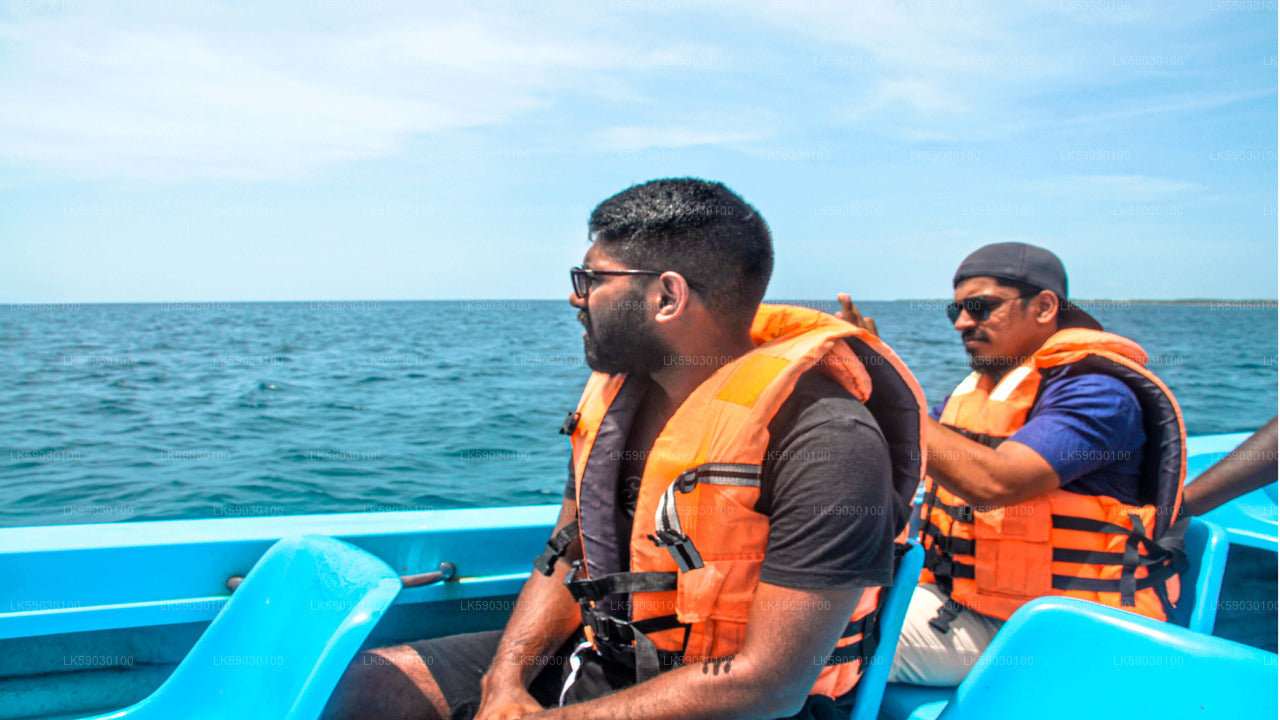Excursion en bateau de pêche en haute mer au départ de Bentota