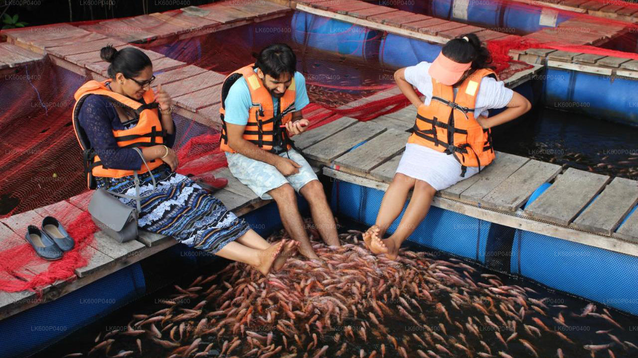 Visite de la ville de Bentota au départ de Galle
