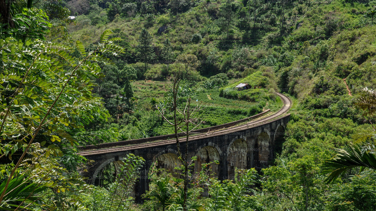Le village pittoresque d'Ella depuis Hambantota