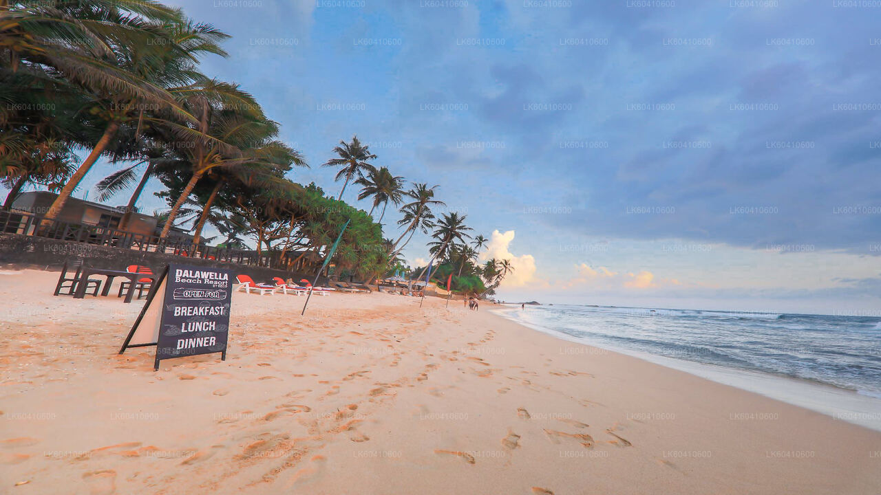 Circuit des temples cachés et des côtes isolées au départ d'Unawatuna