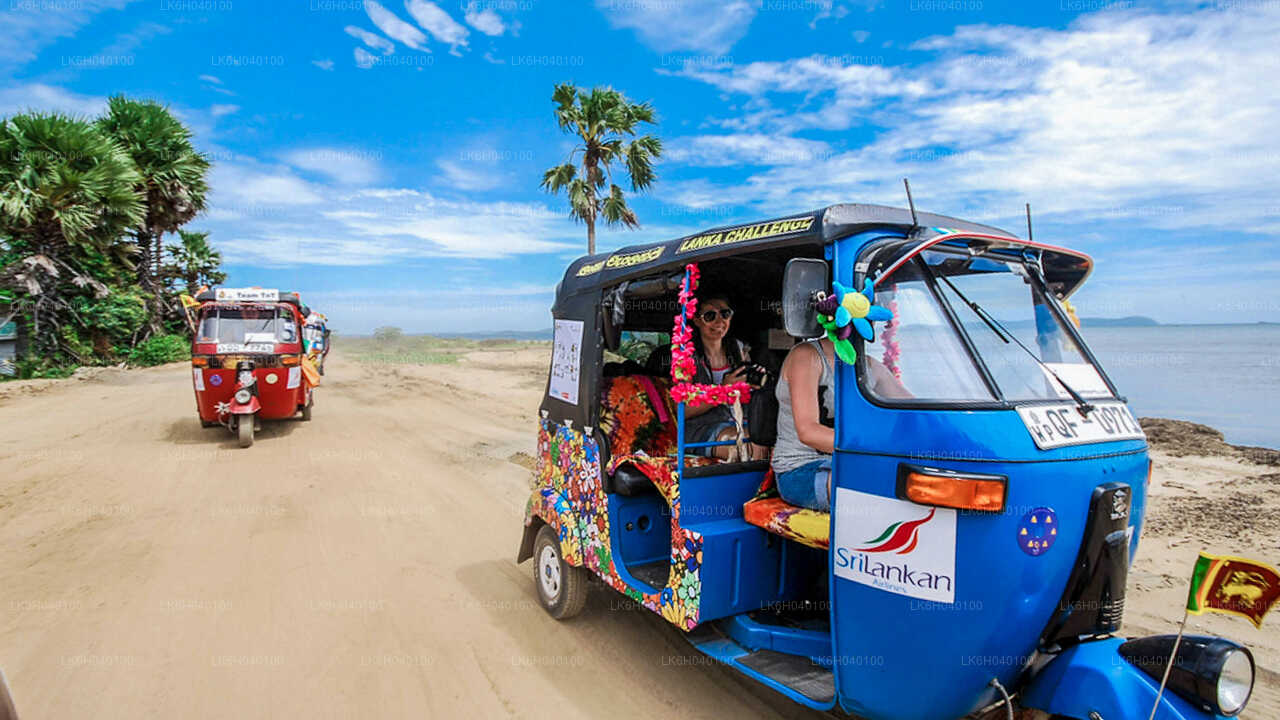 Safari en tuk-tuk sur la côte sud au départ de Galle
