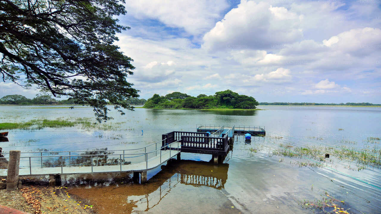 Promenade en bateau sur le lac Tissamaharama