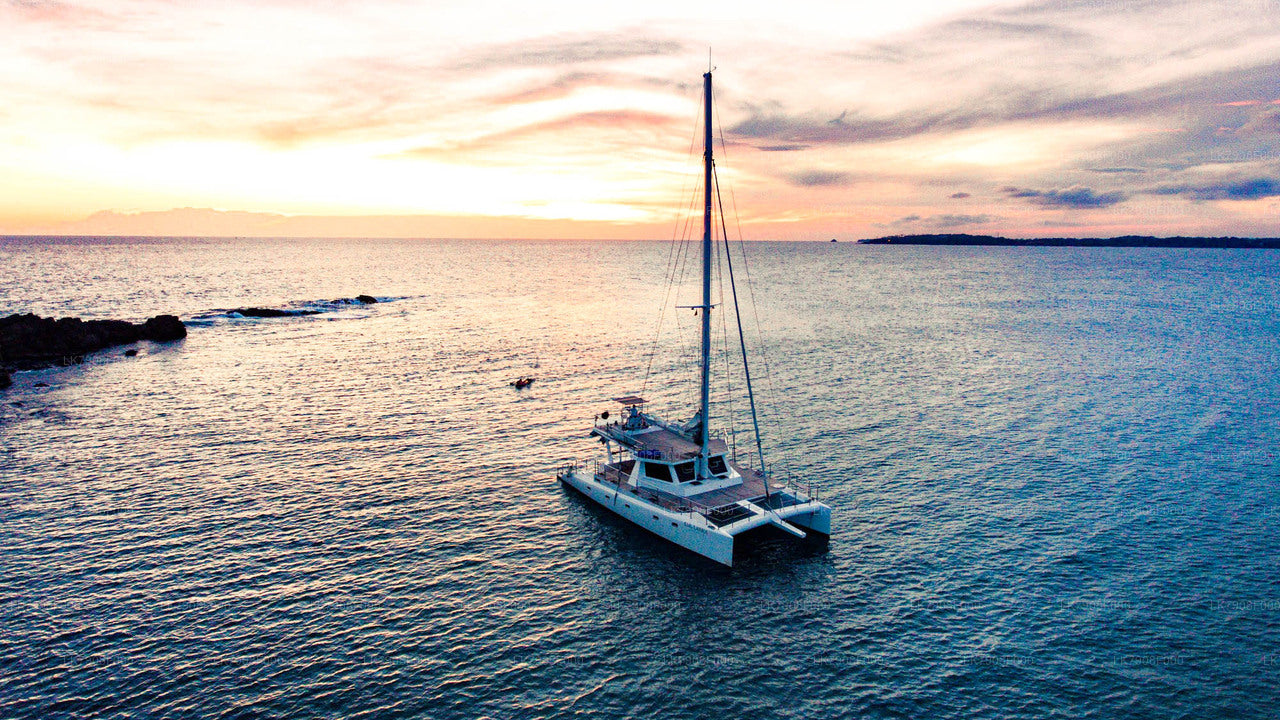 Croisière de 3 nuits à Mirissa