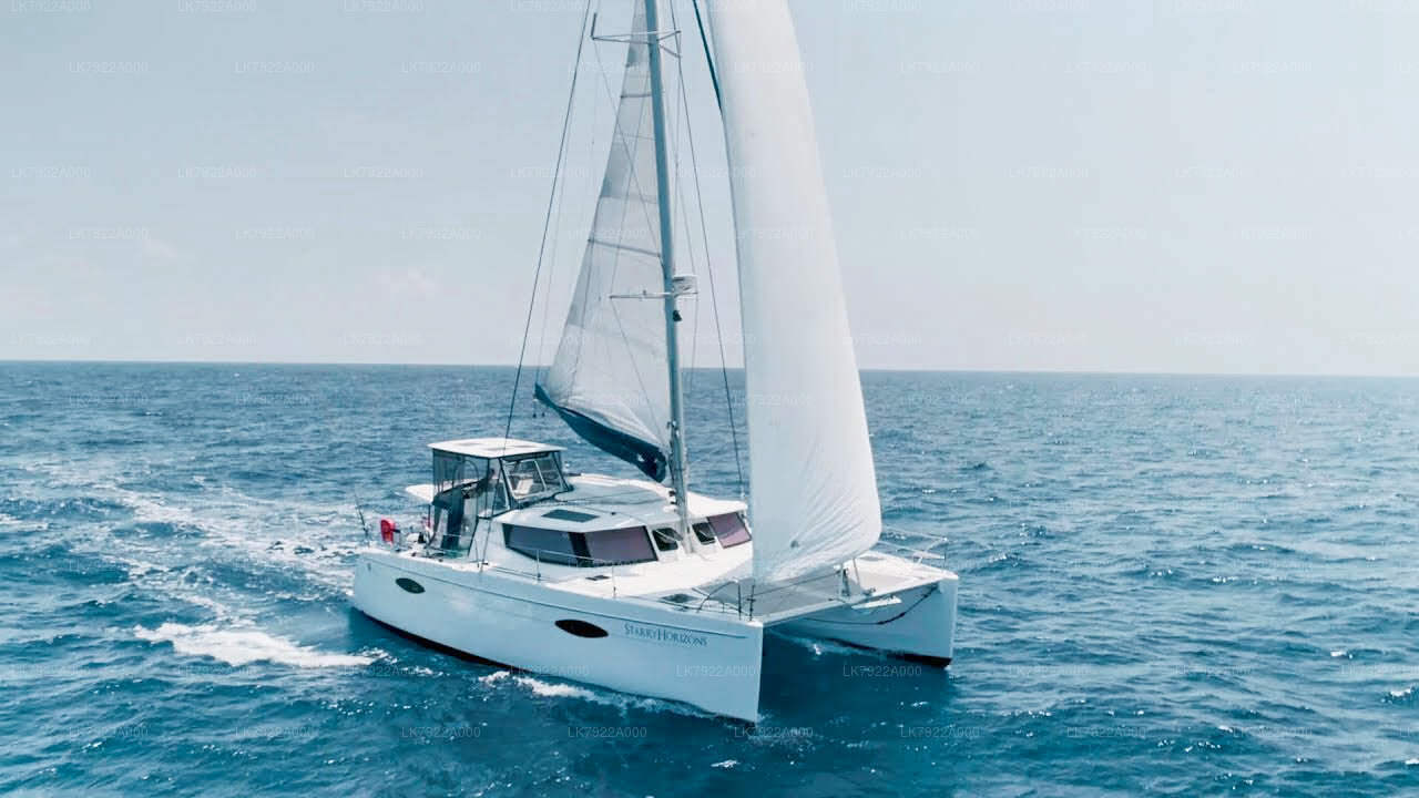 Excursion d'observation des baleines en yacht au départ de Trincomalee