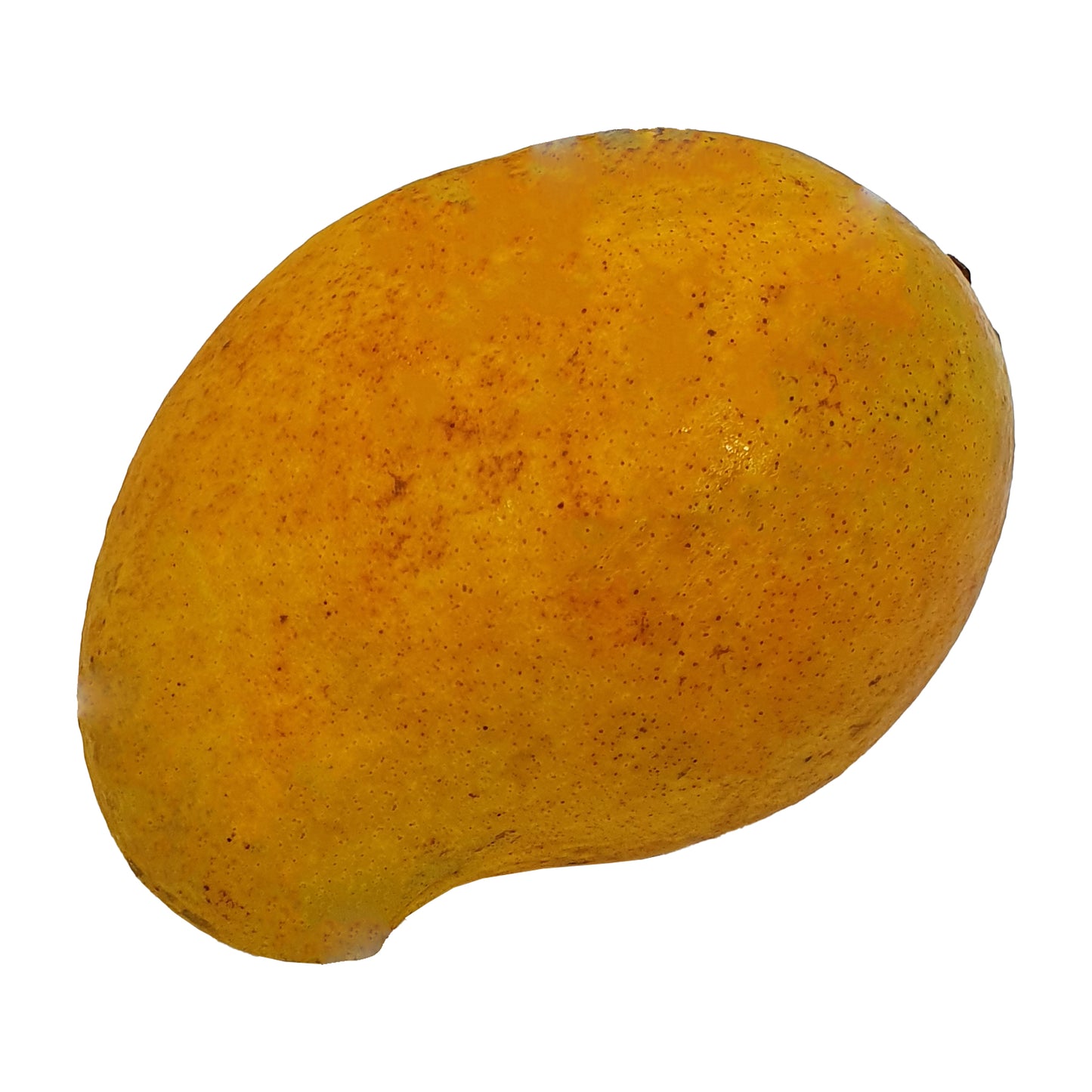 Mangue Alphonso (1 kg)