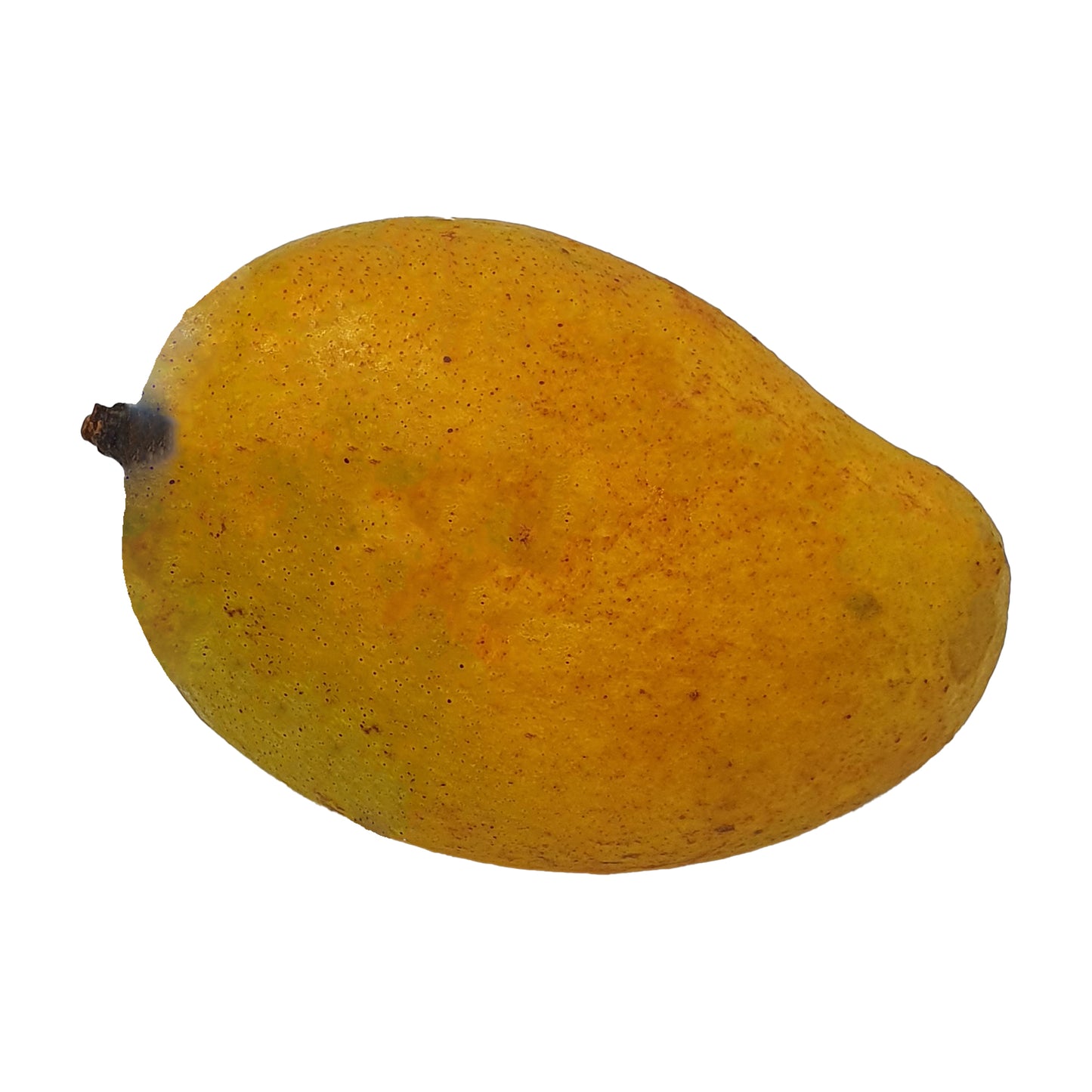 Mangue Alphonso (1 kg)