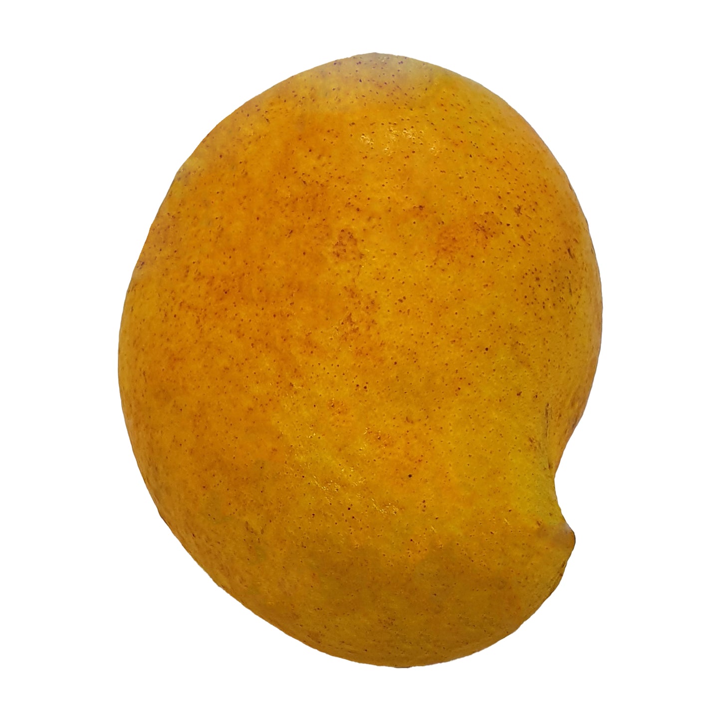 Mangue Alphonso (1 kg)