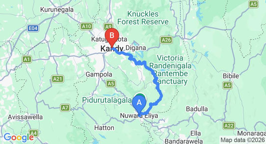 Driving route map: Nuwara Eliya to Kandy (94 km, approx 2 h 54 min private transfer)