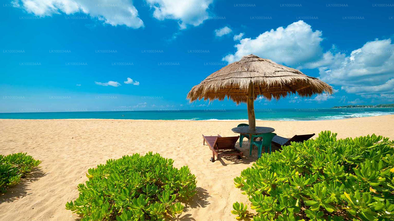 Découvrez le Sri Lanka avec Mahesh Abeyratne