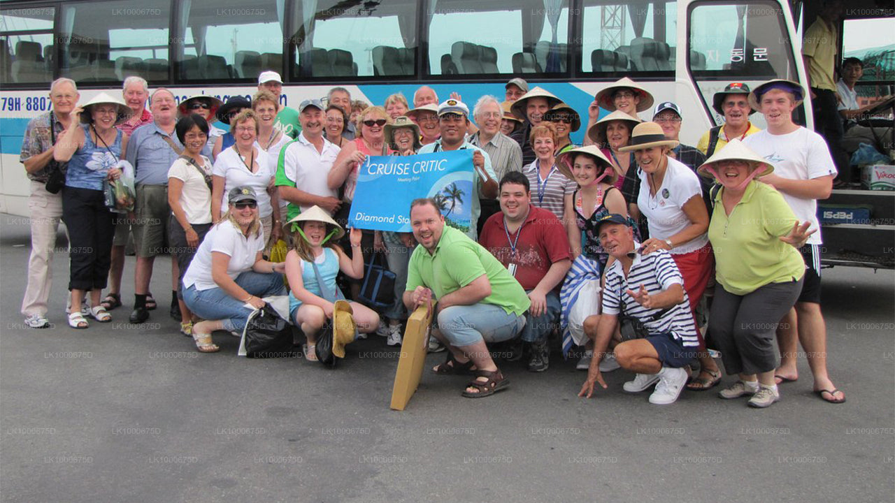 Handungoda et Galle au départ de Dikwella City (excursion privée d'une journée)